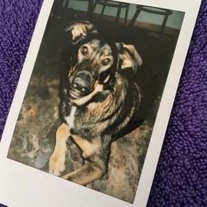 Meet your Posher, Sam